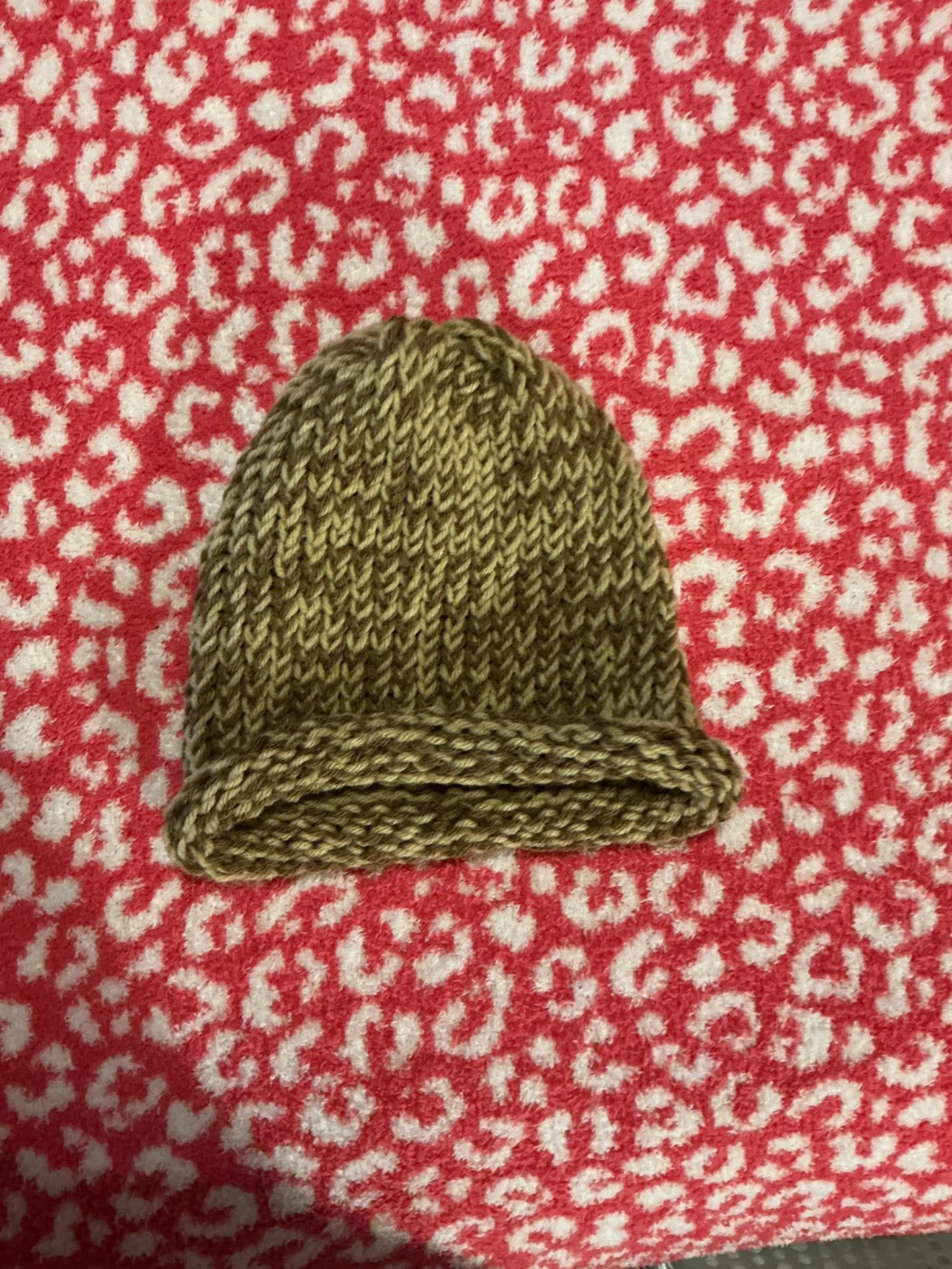 Olive Grove Beanie