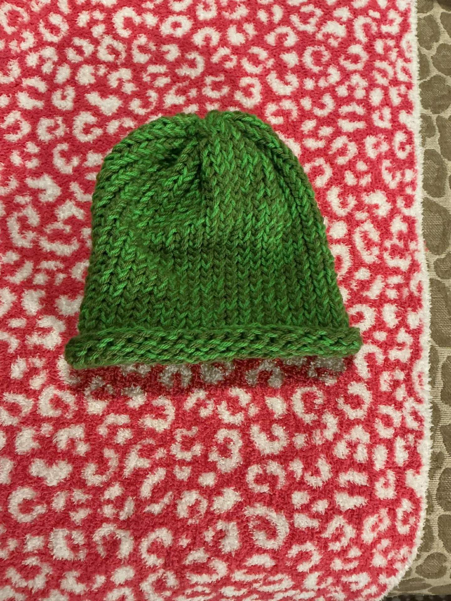 Grass-Green Roll Beanie